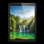 Google_AI_Studio_2025-09-04T01_32_10.792Z